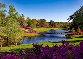 A beautiful spring garden landscape featuring vibrant pink flowers, a serene river, and a picturesque bridge.